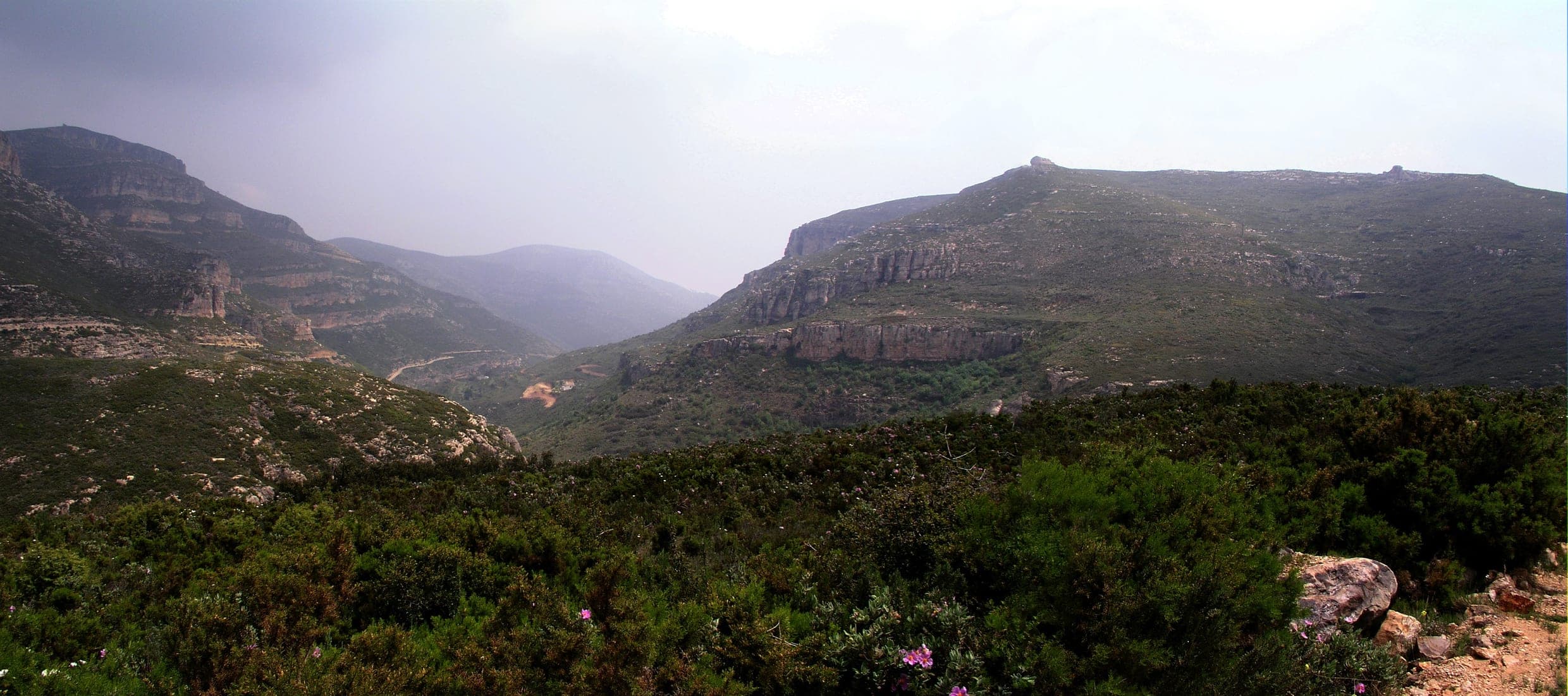 Panorámica de la Sierra de Chiva: un valle entre cortados calizos, con matorral y romeros en primer plano